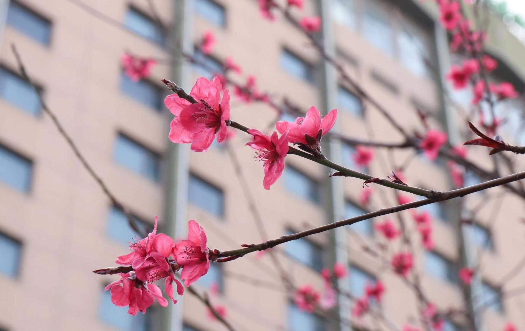 Holiday Inn Express Zhengzhou Zhongzhou By Ihg Exterior foto